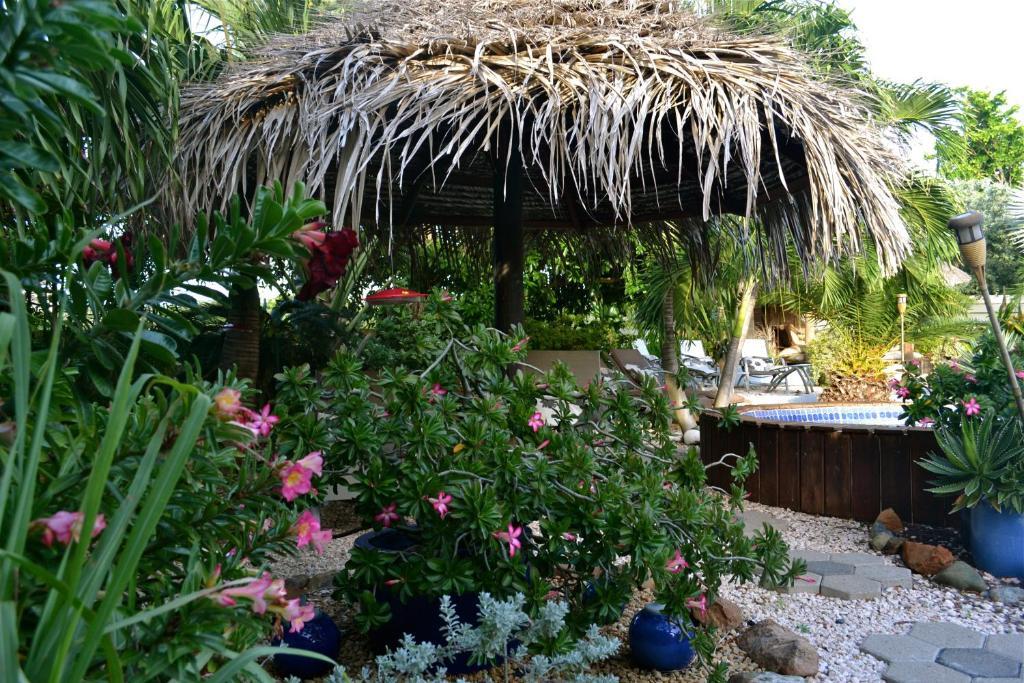 Bananas Apartments Adults Only Palm Beach Ngoại thất bức ảnh