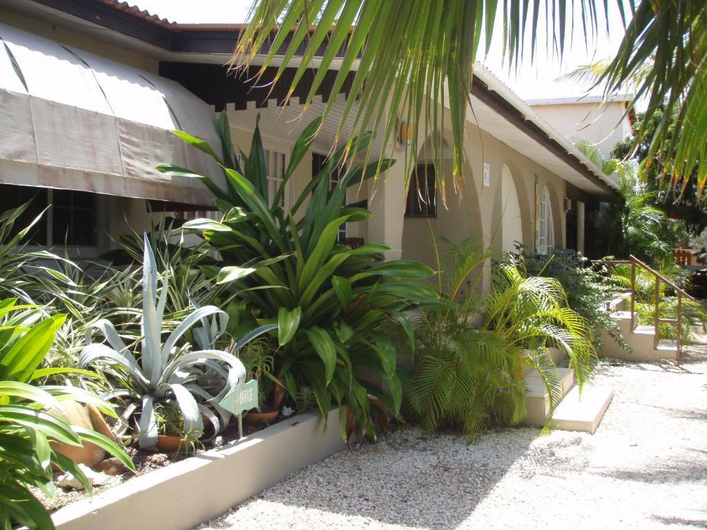 Bananas Apartments Adults Only Palm Beach Ngoại thất bức ảnh